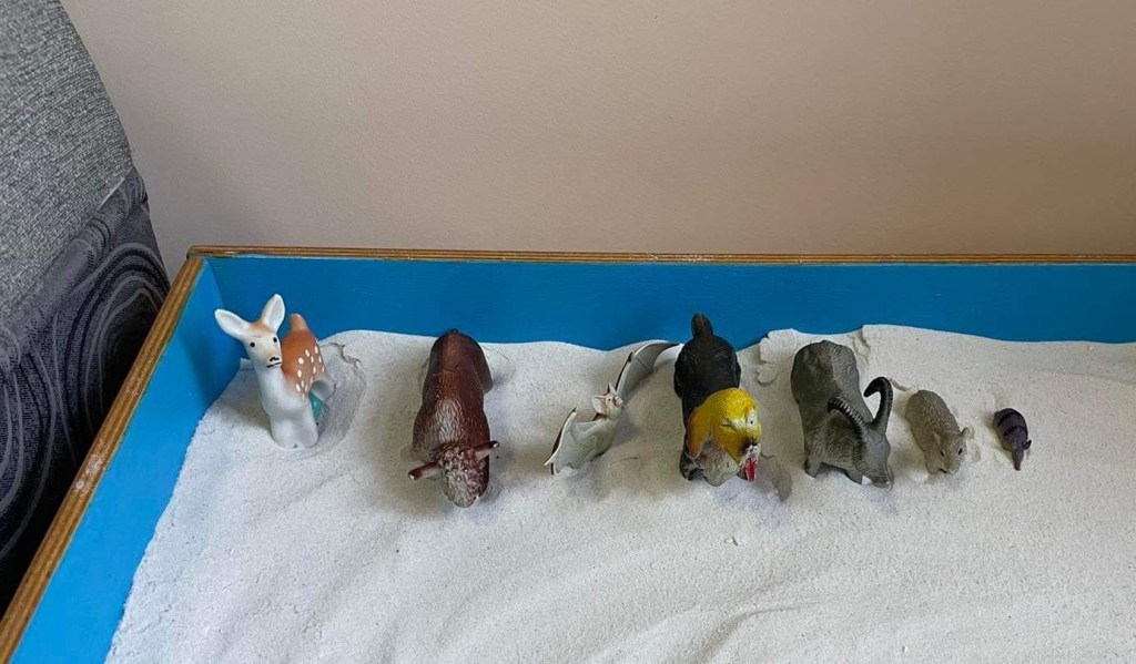 7/7/2022 – Brasov, Romania