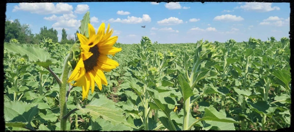 7/8/2022 – Brasov, Romania