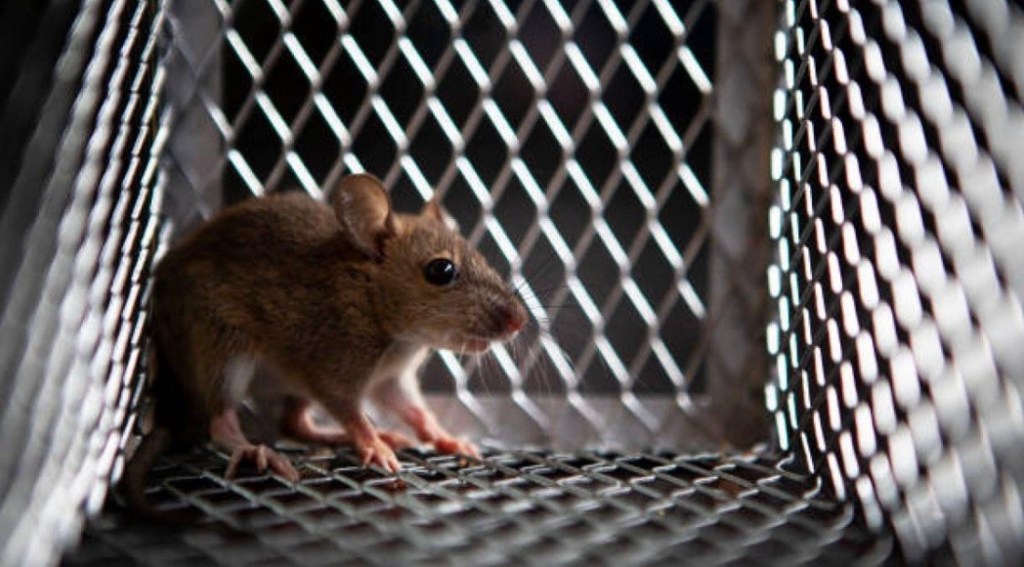 10/6/2022 – Putin has cornered&nbsp;himself