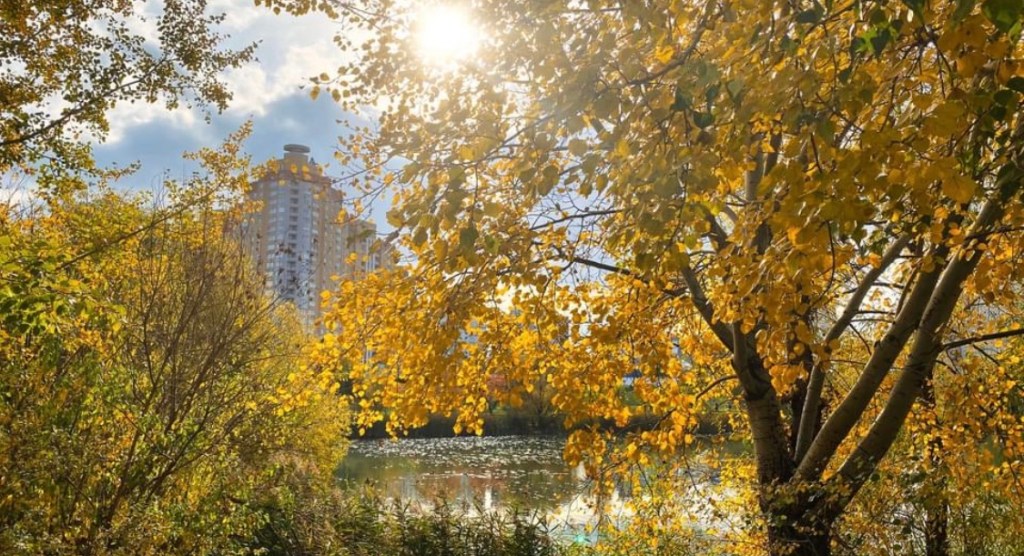 10/29/2022 – We know with Him, “even the darkness will not be dark, the night will shine like the&nbsp;day.”