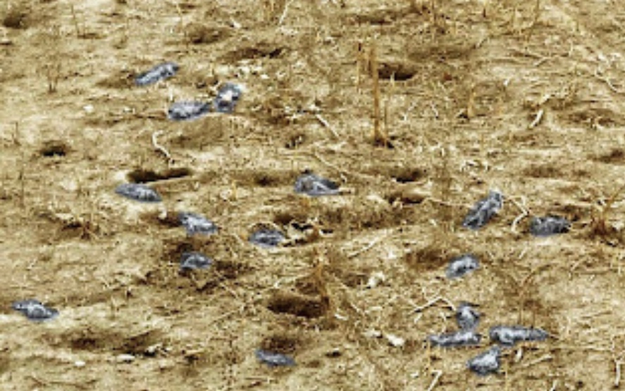 1/25/2023 – Our brother,&nbsp;‘S’