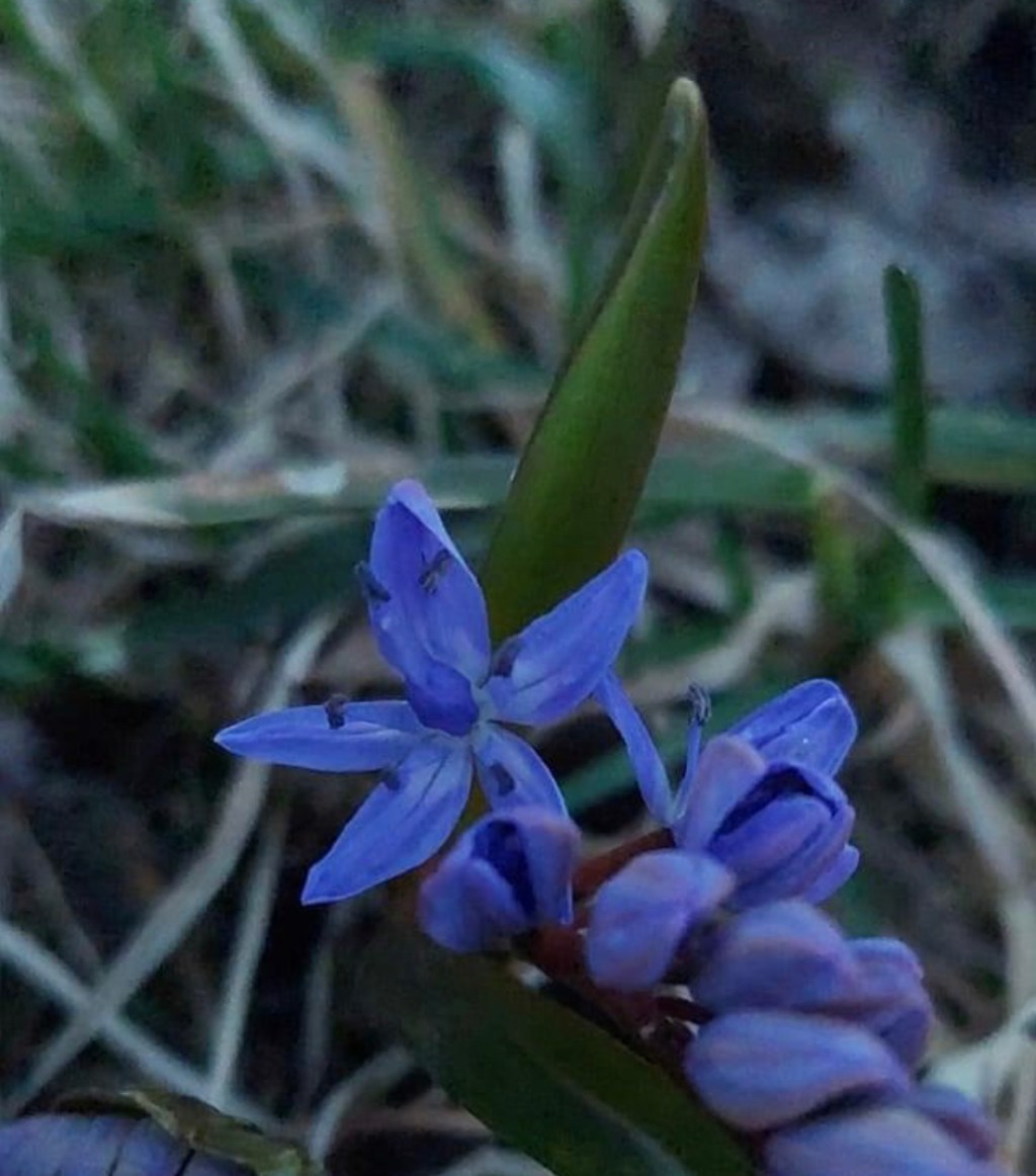 3/14/2023 – Good God governs&nbsp;gently