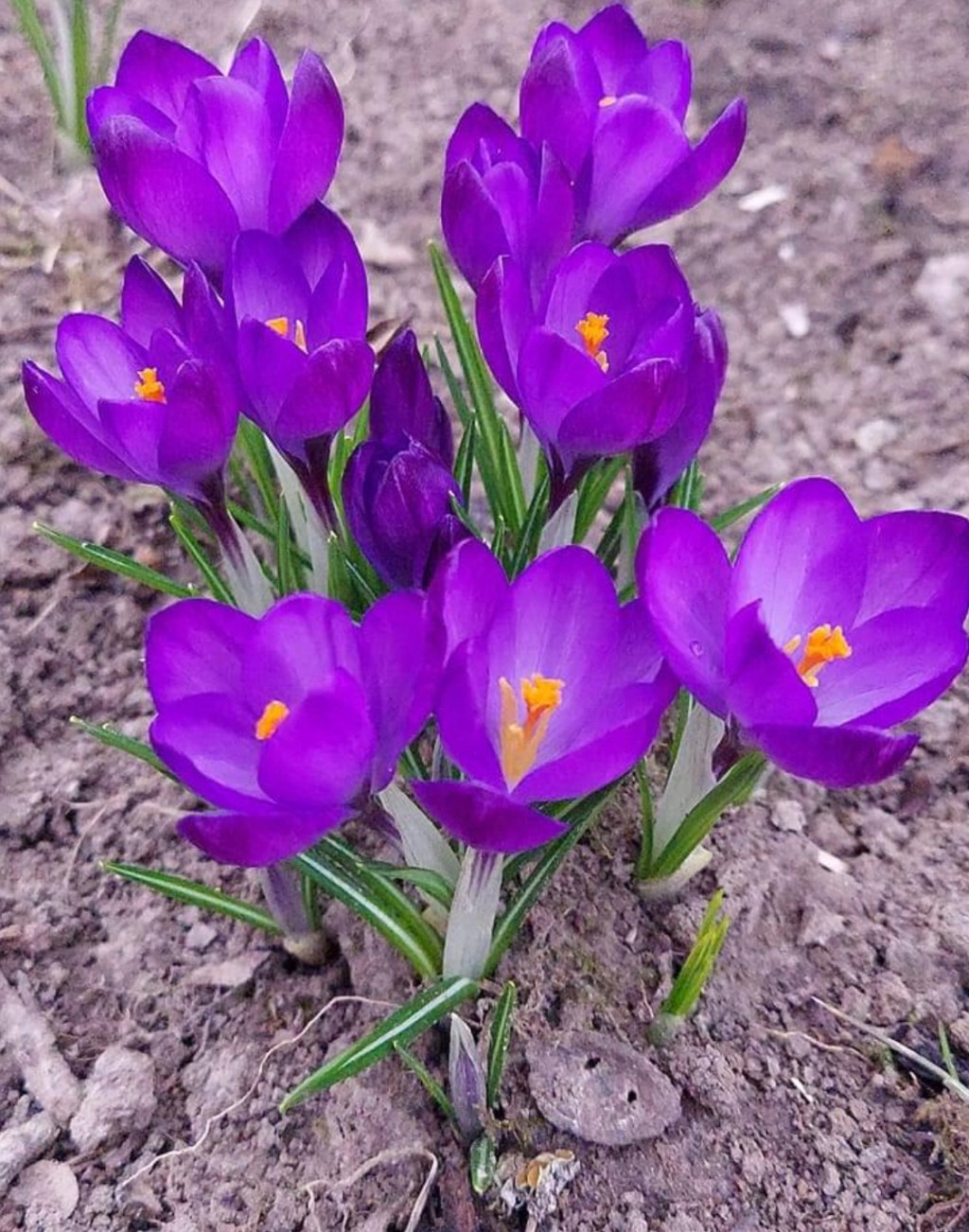 3/25/2023 – How does one make&nbsp;plans?