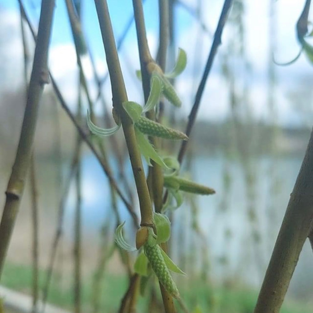 3/27/2023 – War has seeped into every aspect of our lives, and it’s with you, even if you are unaware of&nbsp;it