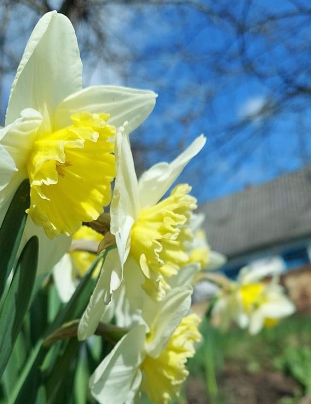 4/8/2023 – “Do not be afraid for you have found favor with&nbsp;God”