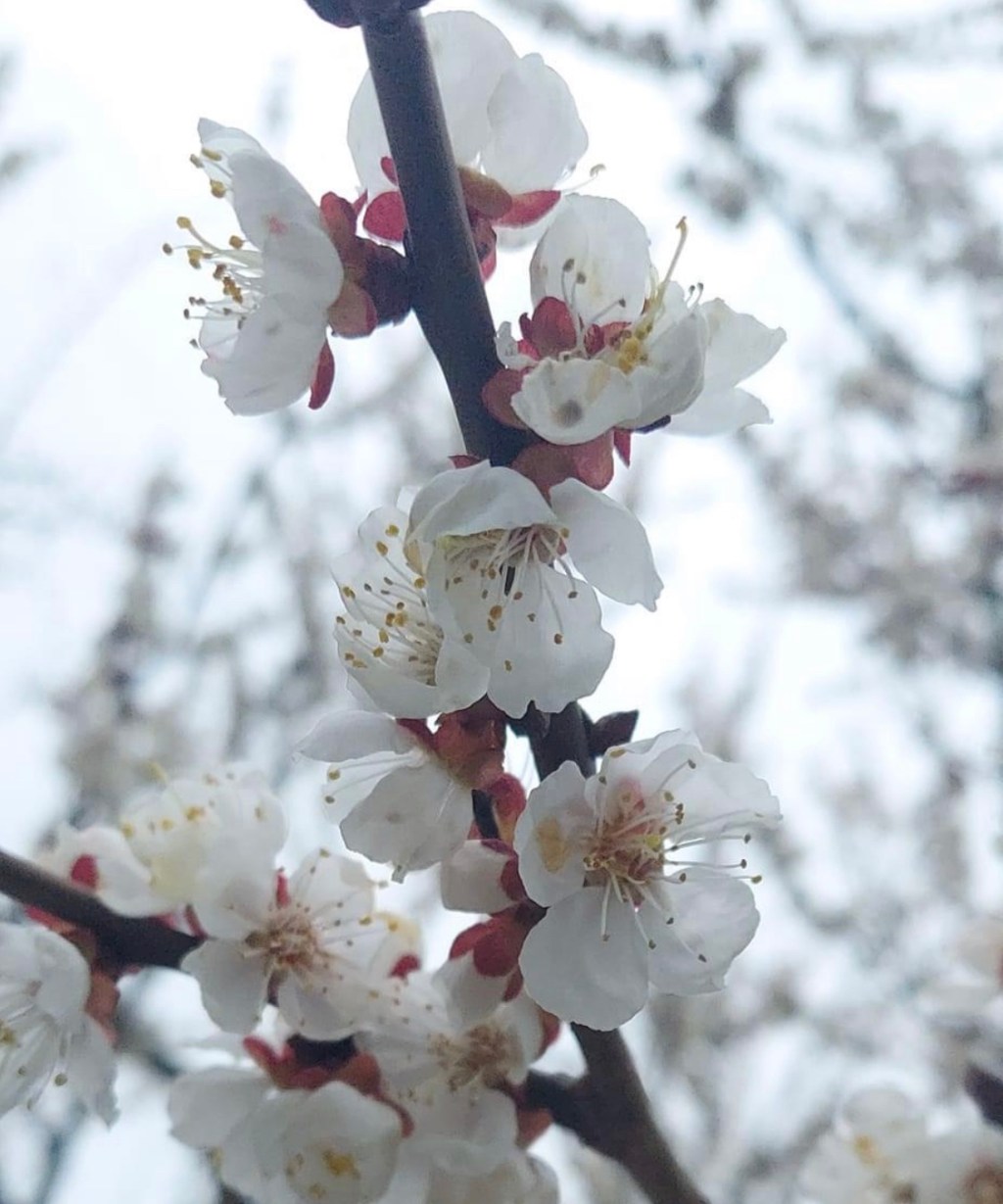 4/16/2023 – Resurrection Day in&nbsp;Ukraine