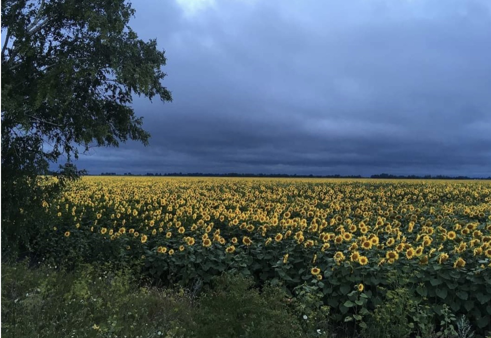 4/21/2023 – Evidence of God’s Faithfulness in&nbsp;Ukraine