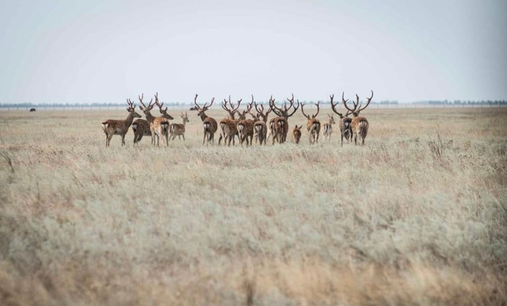 4/24/2023 – “I believe that the millions of prayers uttered on behalf of Ukraine in those days stopped the&nbsp;enemy”