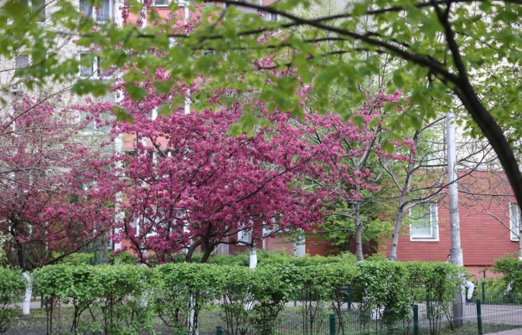 4/25/2023 – Spring in&nbsp;Kyiv