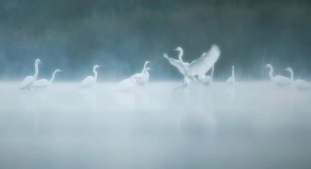 5/18/2023 – “When we lose someone in a battle, we not only lose a soldier, we lose an artist, a photographer, a teacher, a&nbsp;scientist…”