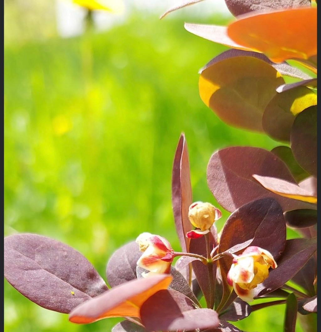 5/23/2023 – The Lord sustains&nbsp;us