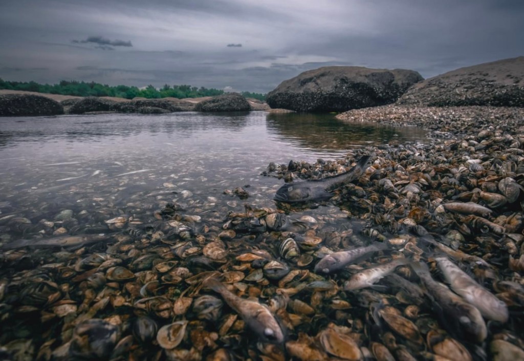 6/12/2023 – We keep processing the Kakhovka Dam tragedy, holding our breath and praying for the people in the Kherson&nbsp;region…