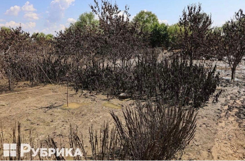 6/28/2023 – We know that God is faithful, yet it’s incredibly hard to see the cruelty brought upon our land and our people by the&nbsp;enemy…