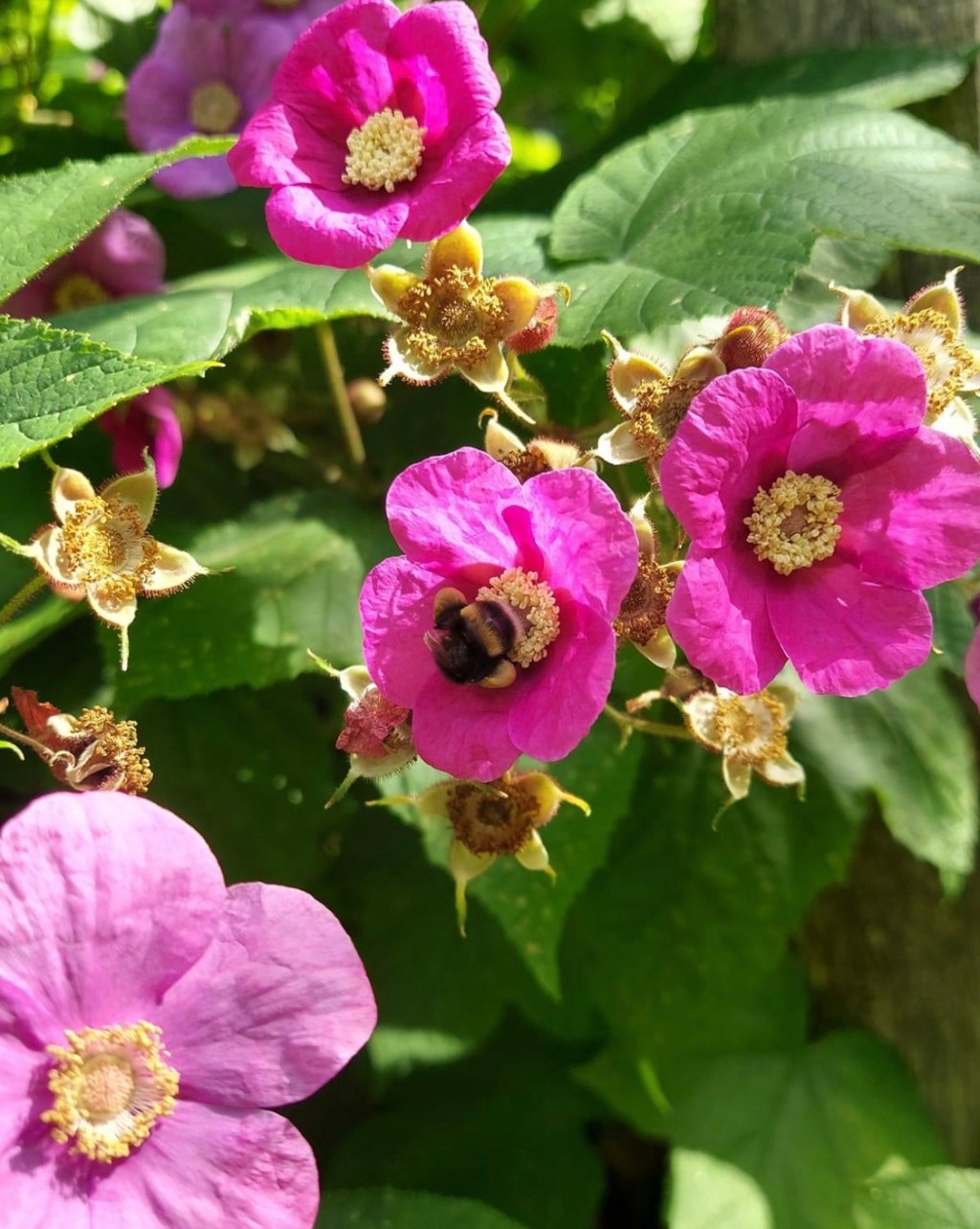 7/5/2023 – I will trust Him to be God and will choose trust over&nbsp;fear