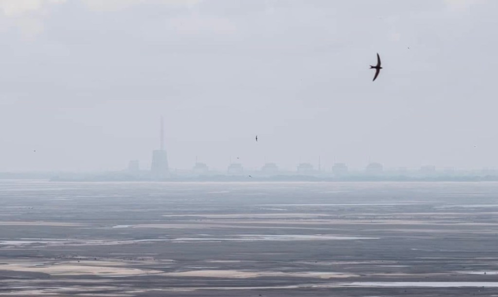 7/6/2023 – “I am more likely to trust the reports of people working at the&nbsp;NPP…”