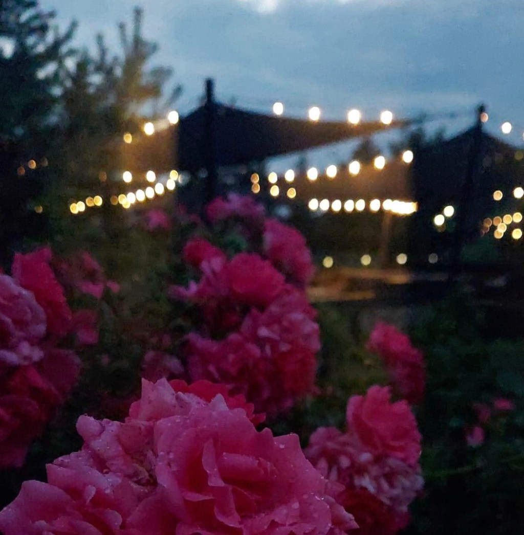 7/8/2023 – War is&nbsp;inconvenient…