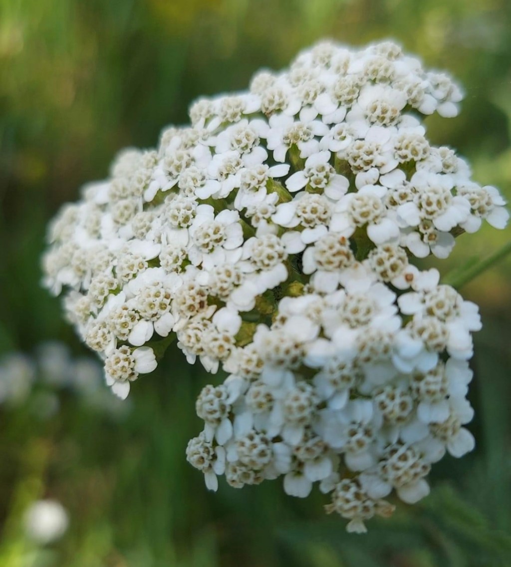 7/31/2023 – War and&nbsp;Words