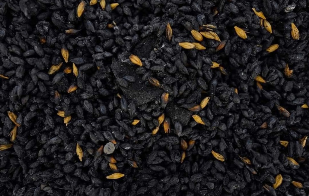 8/3/2023 – Russian aggression is not just Ukraine’s problem — it affects the whole&nbsp;world