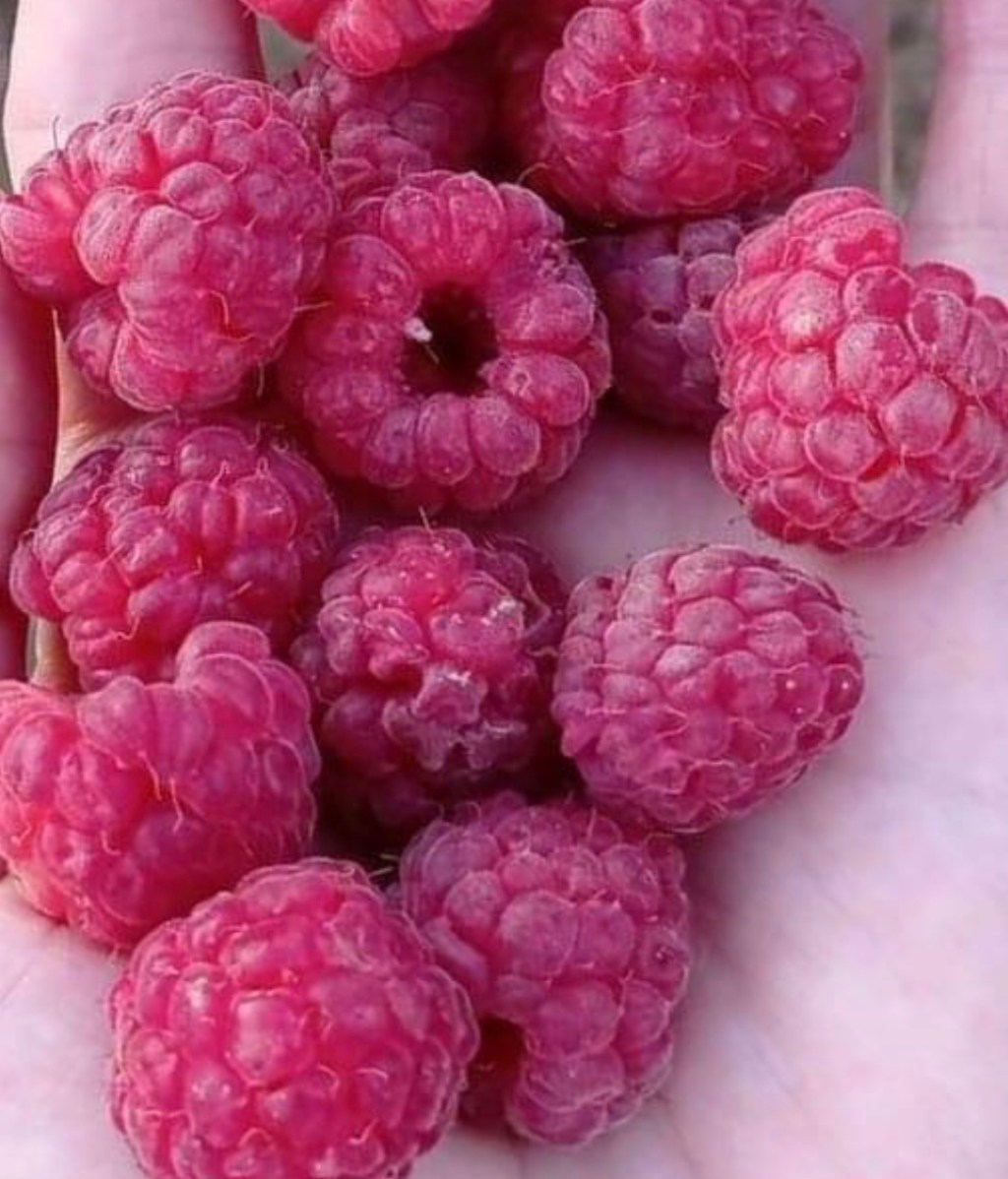 8/6/2023 – We’ve learned to co-exist with this&nbsp;war…