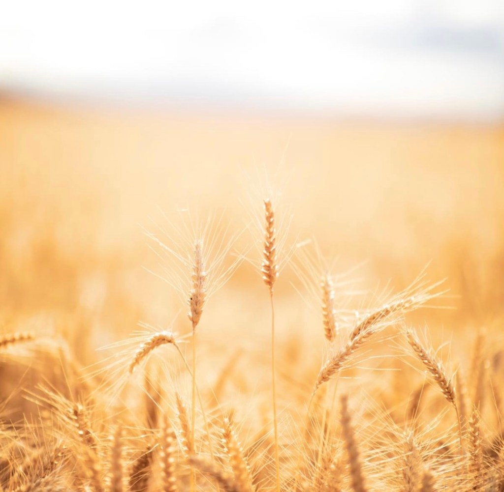 8/19/2023 – Winter is&nbsp;coming