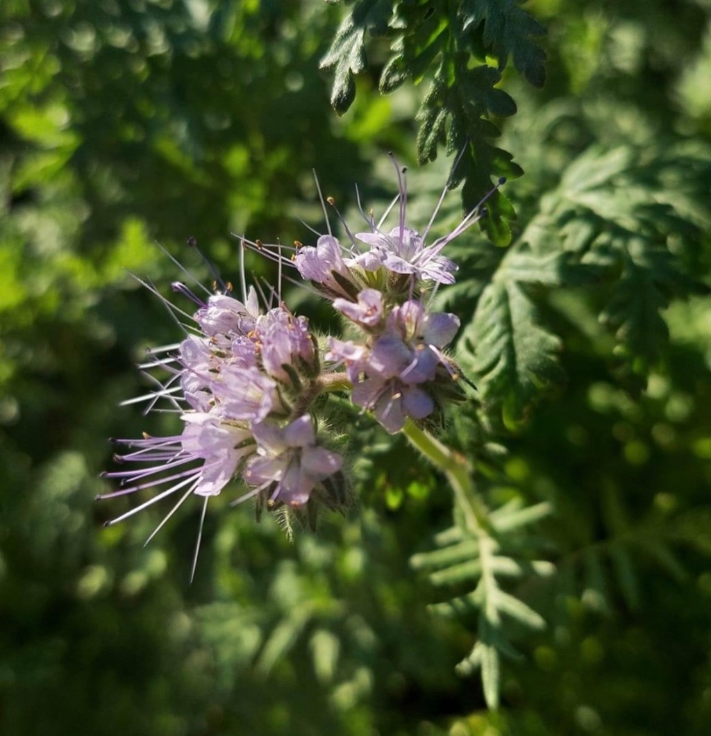 9/3/2023 – What is&nbsp;perseverance?