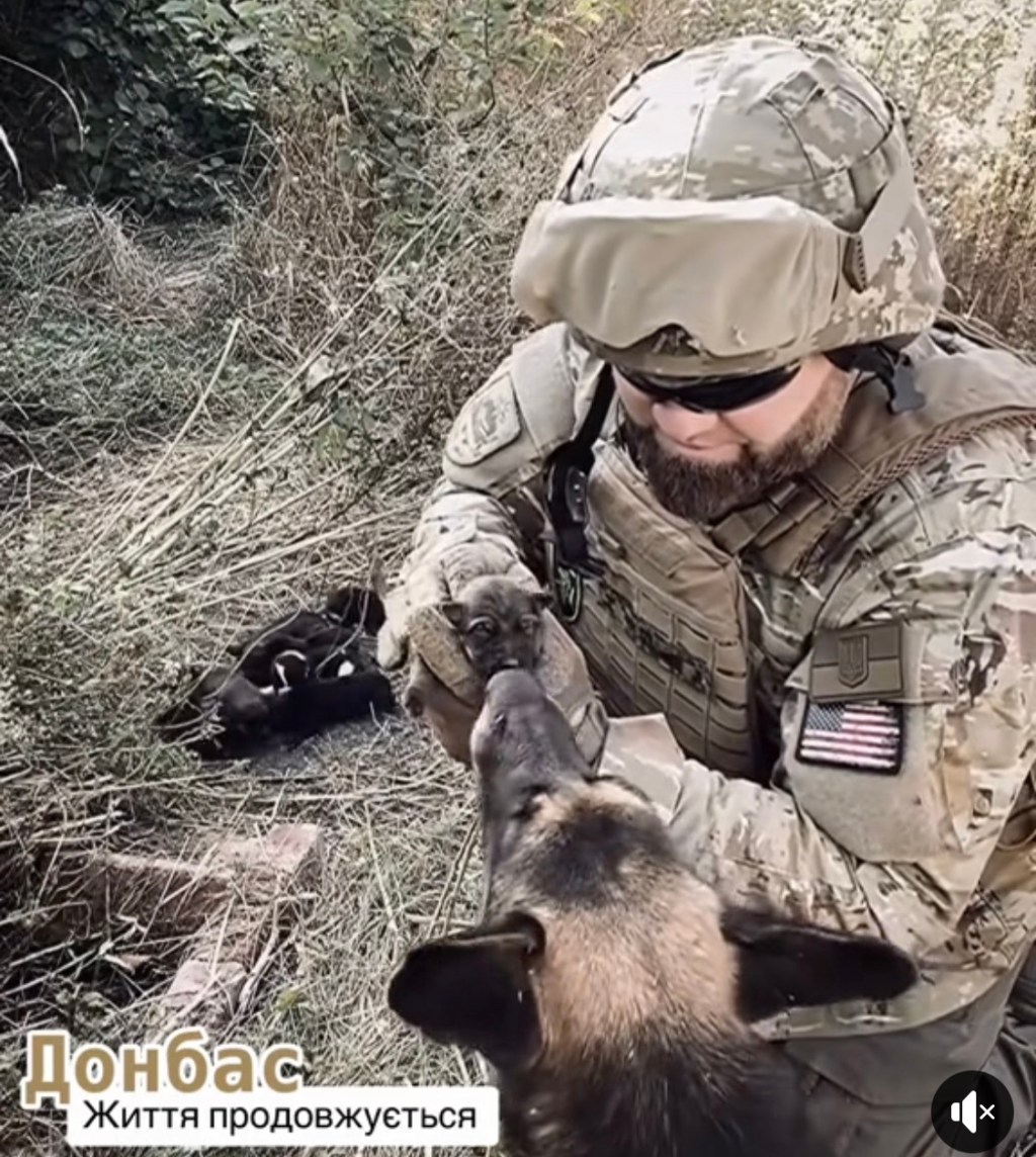 9/15/2023 – life goes on just a few kilometers from the front line&nbsp;(video)