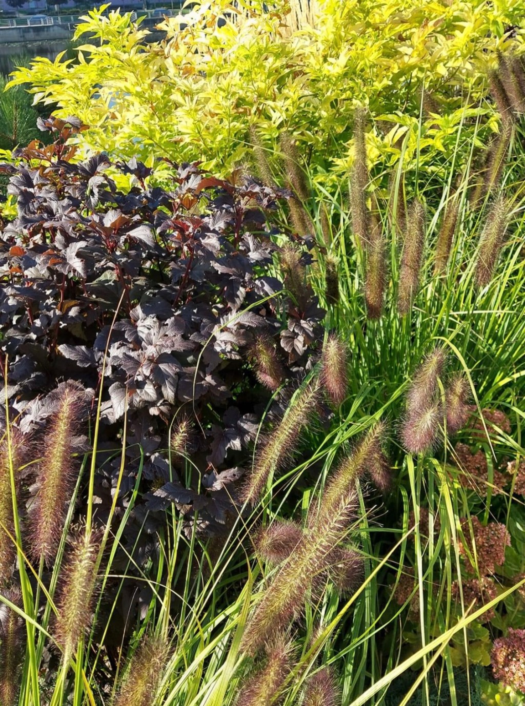 9/25/2023 – My heart goes out to the people in the Odesa&nbsp;region…