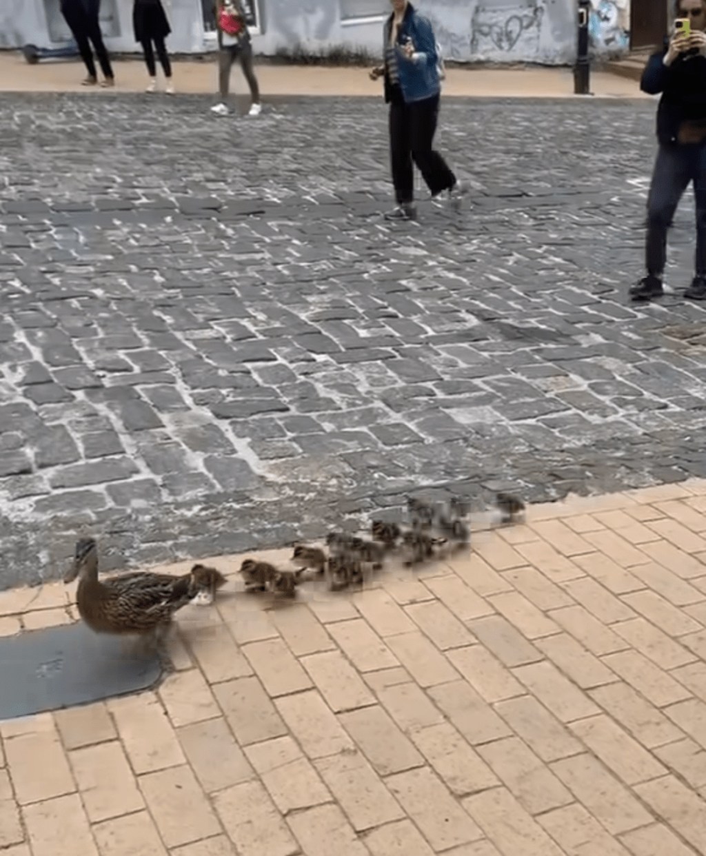 10/30/2023 – All of a sudden in downtown Kyiv&nbsp;(Video)