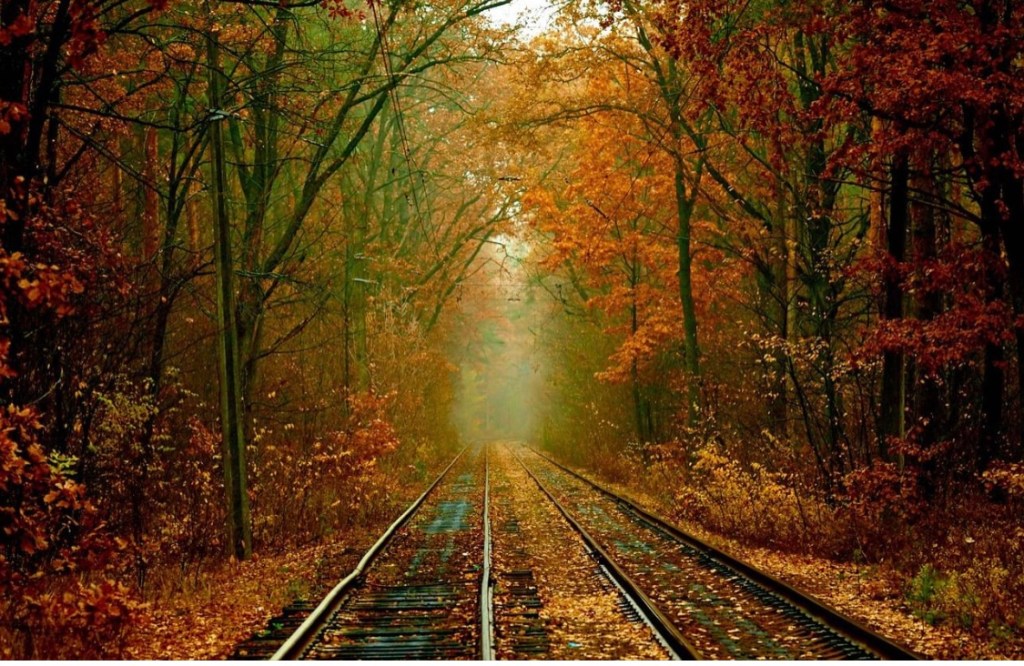 10/1/2023 – We all dread the change of weather this fall just as we did last&nbsp;fall…