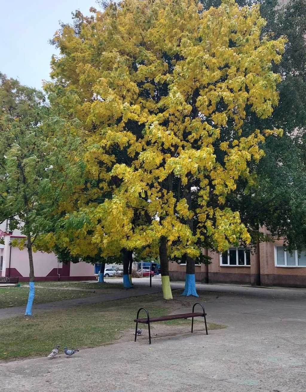 10/17/2023 – Six hundred days ago, our lives turned upside&nbsp;down…