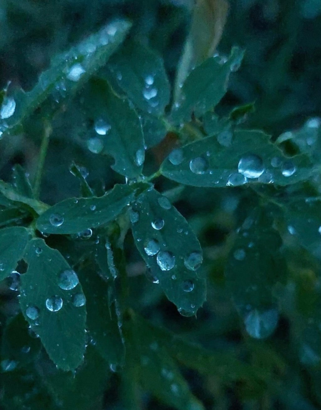 10/20/2023 – Our enemies shall vanish like dew in the&nbsp;sun…