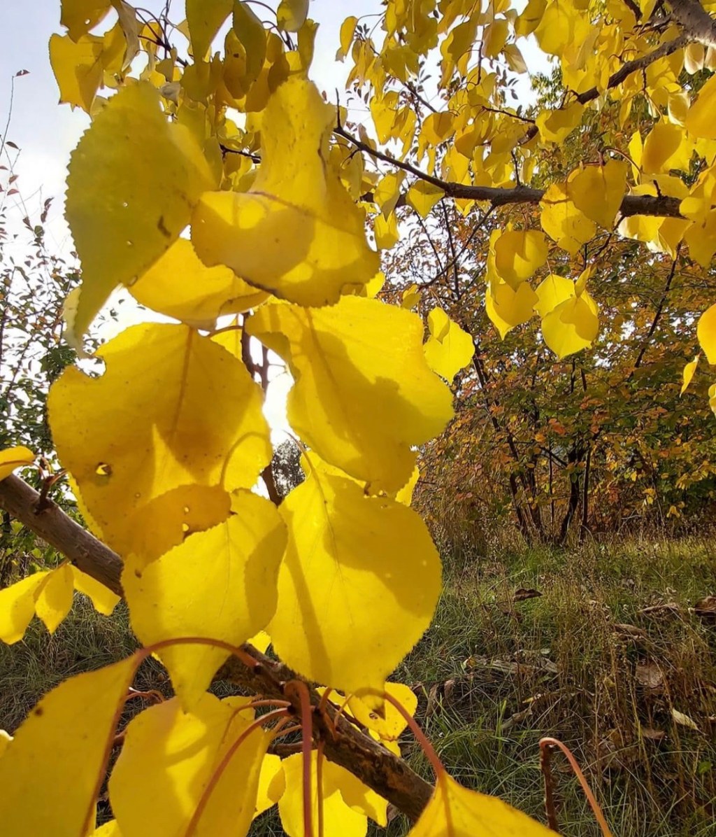 10/22/2023 – Pray for&nbsp;Ukraine!