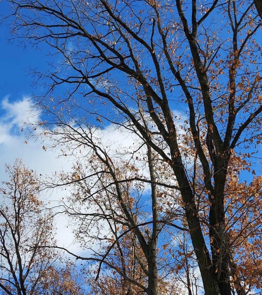 11/16/2023 – “You have turned for me my mourning into&nbsp;dancing…”