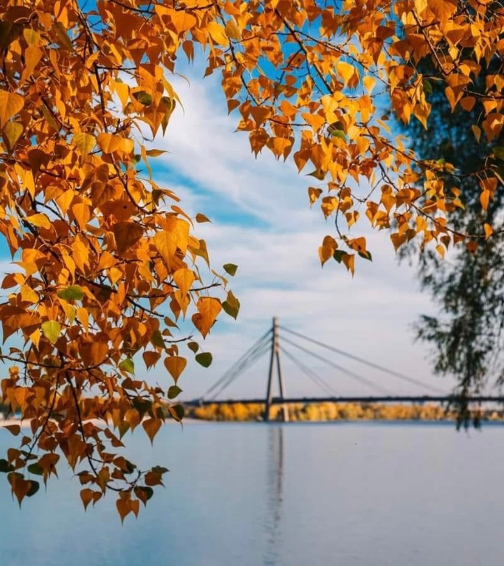 11/3/2023 – These stories, the proof of God’s wondrous steadfast love, keep me going when everything seems too&nbsp;dark…