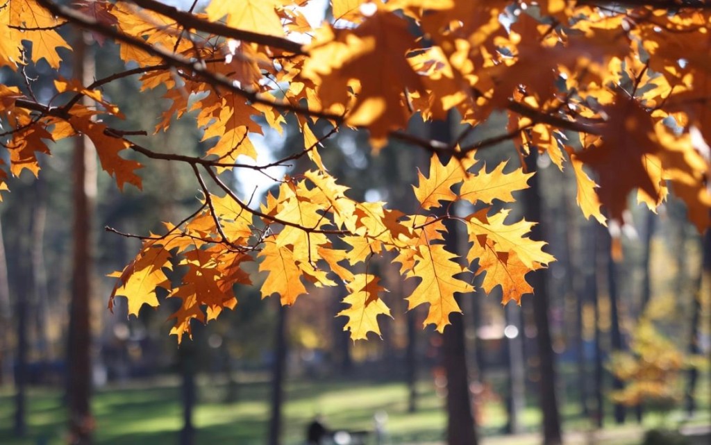 11/3/2023 – Just like on the first day of ruzzian invasion,  I need to keep reminding myself we have nowhere to run except to God in&nbsp;prayer…