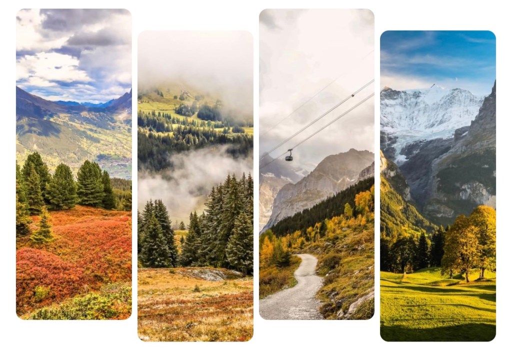 11/6/2023 – Can anything be more beautiful than fall&nbsp;forest?