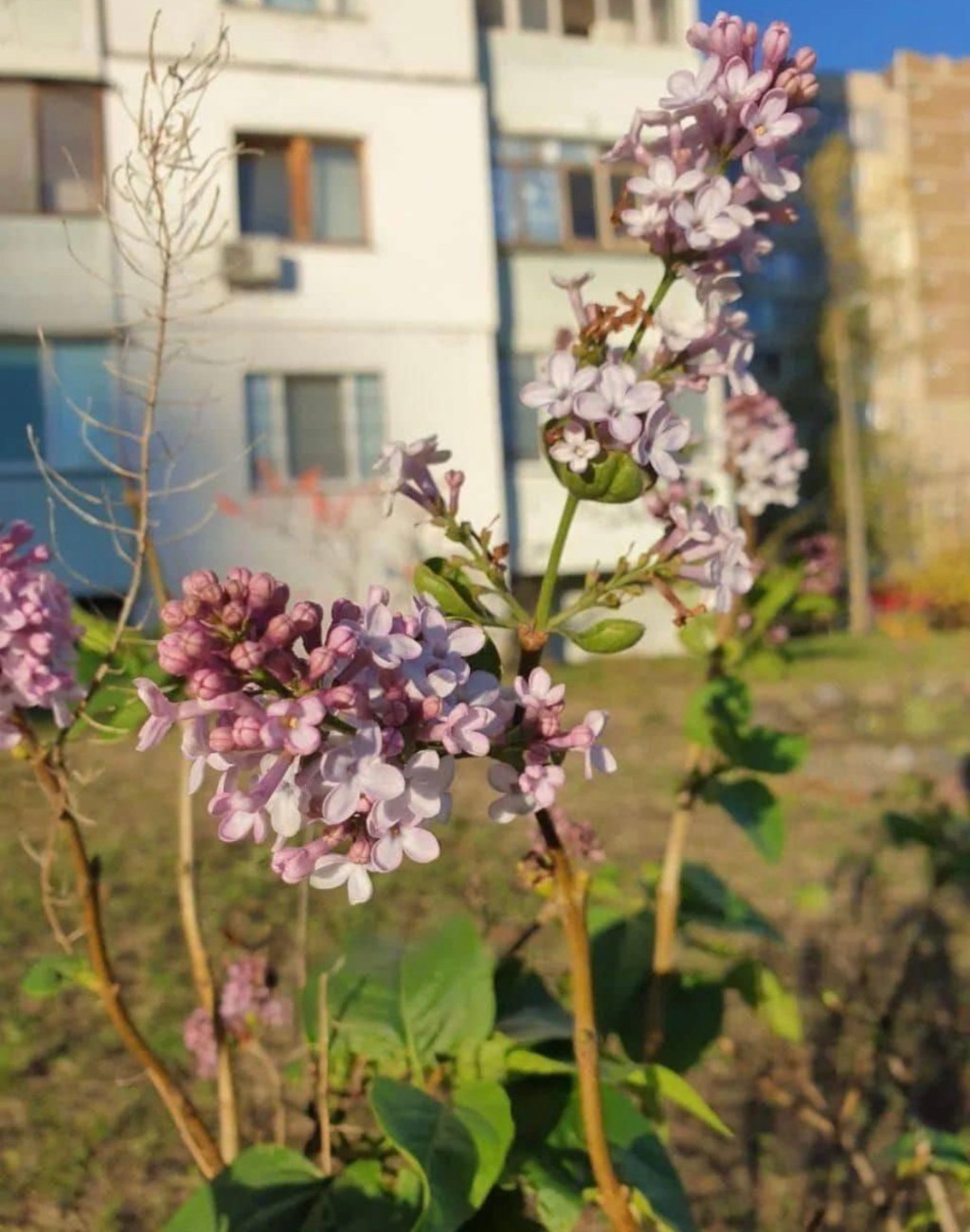 11/8/2023 – I believe that God’s hand can be seen in every aspect of our life, even if it takes some looking…