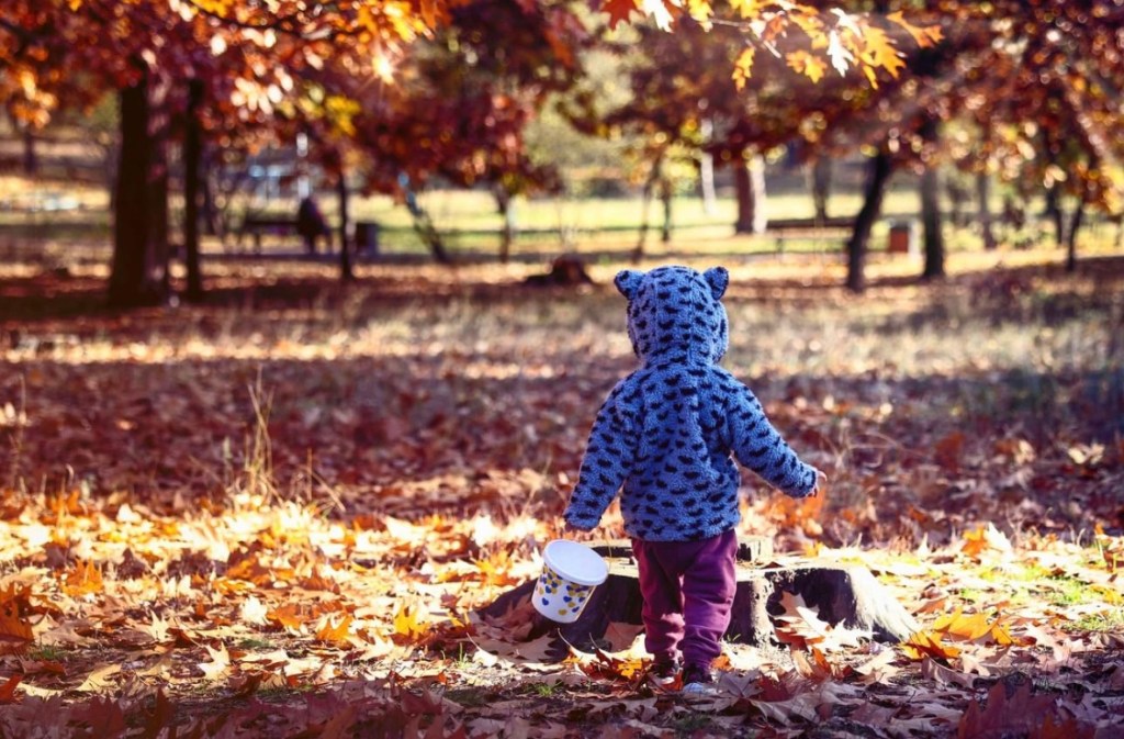 11/8/2023 – “Our sunshine, our pretty sunshine; she makes us happy when skies are grey!”