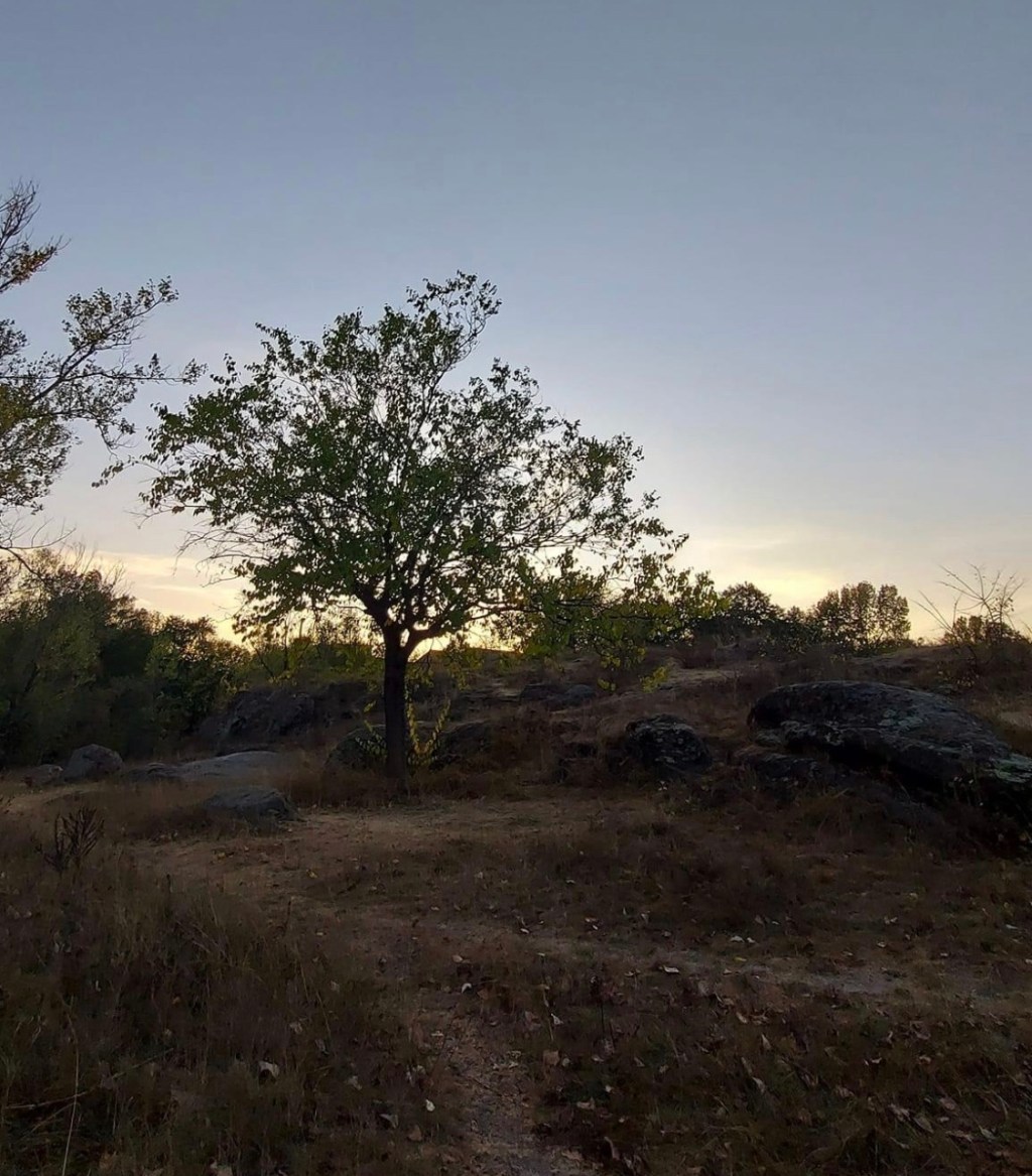 11/11/2023 – Indeed, none who wait for you shall be put to shame; they shall be ashamed who are wantonly treacherous.