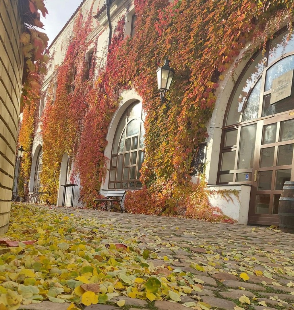 11/18/2023 – Ukrainians suffer from this war started by Russia, but we chose to fight it because we value our freedom and&nbsp;dignity