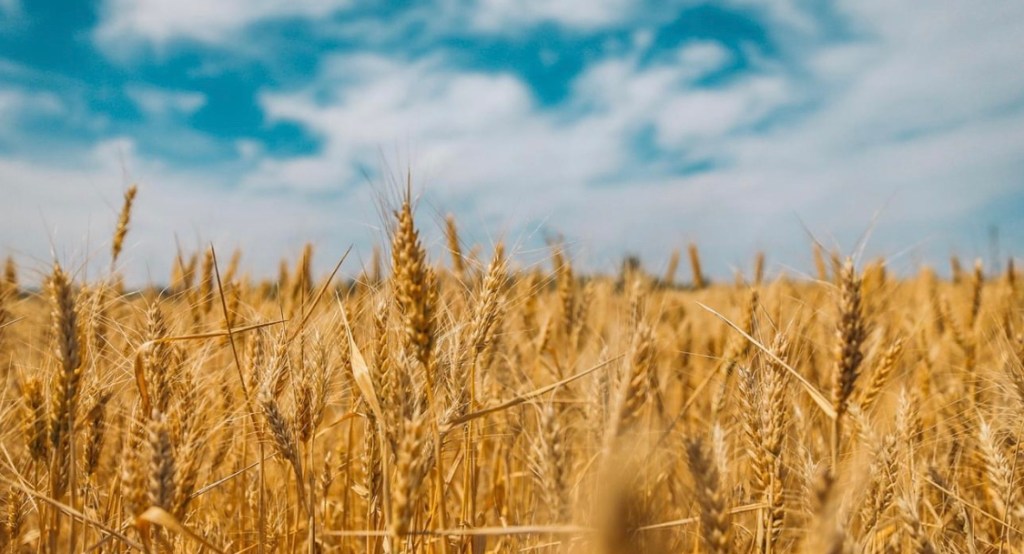 11/18/2023 – Russian dictator Vladimir Putin may face a new war crime&nbsp;charge