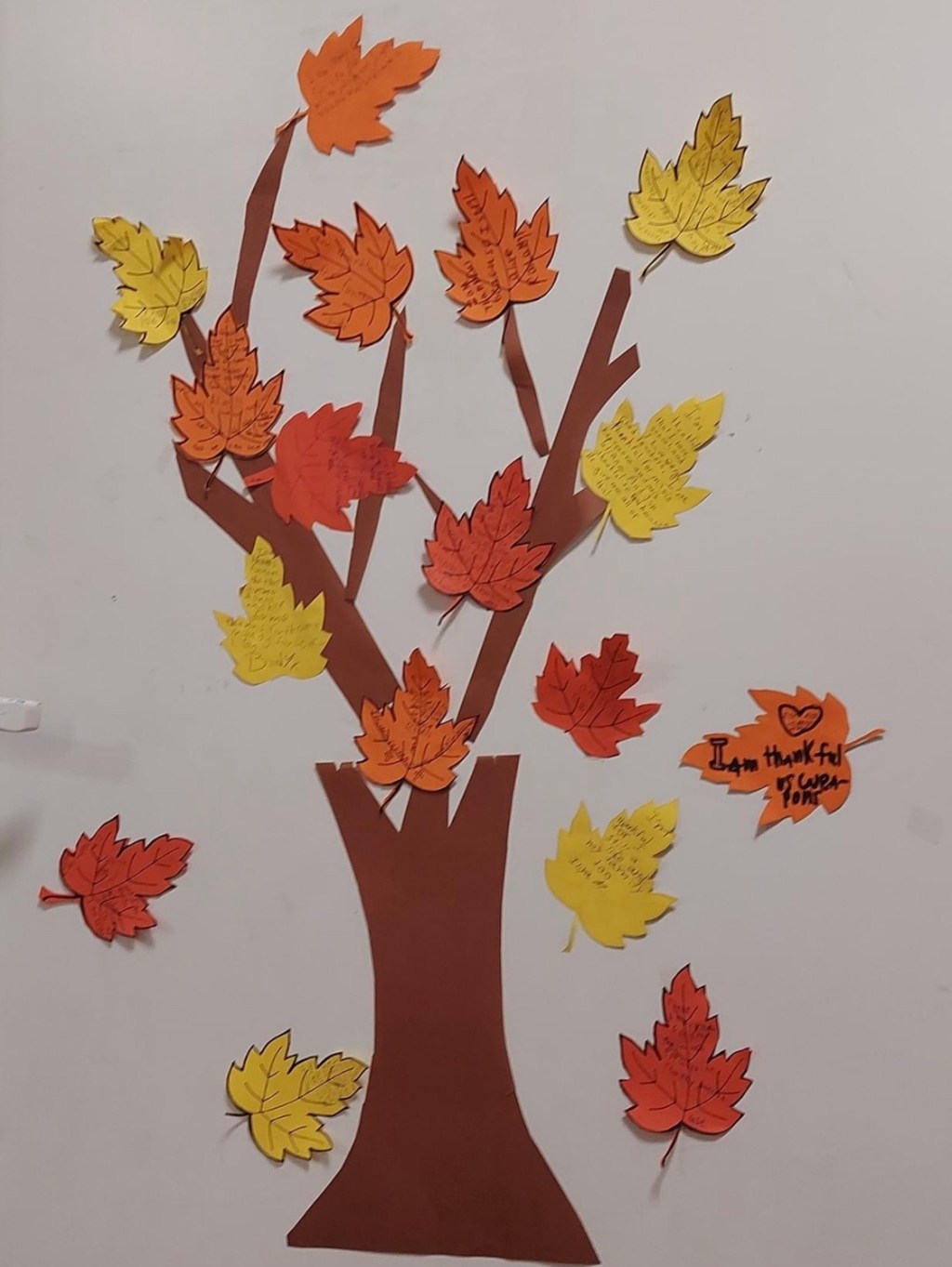 11/24/2023 – I am thankful for each one of these blessings and pray I will stay aware of these blessings without the need to be reminded of their&nbsp;fragility.