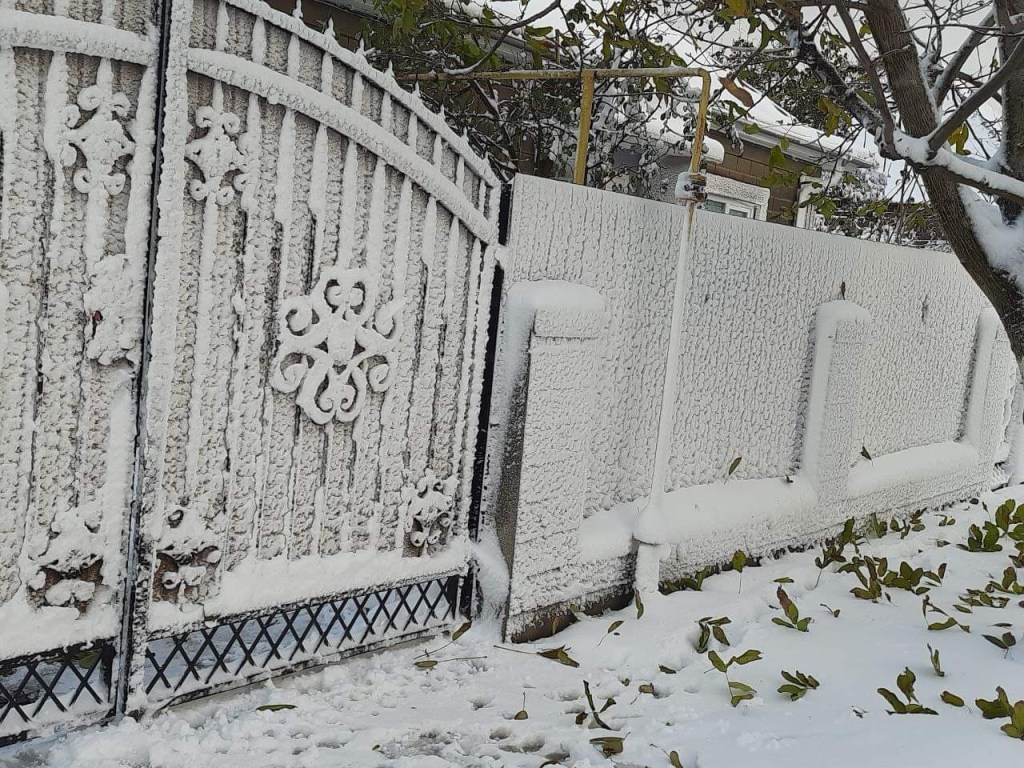 11/27/2023 – News From&nbsp;Ukraine