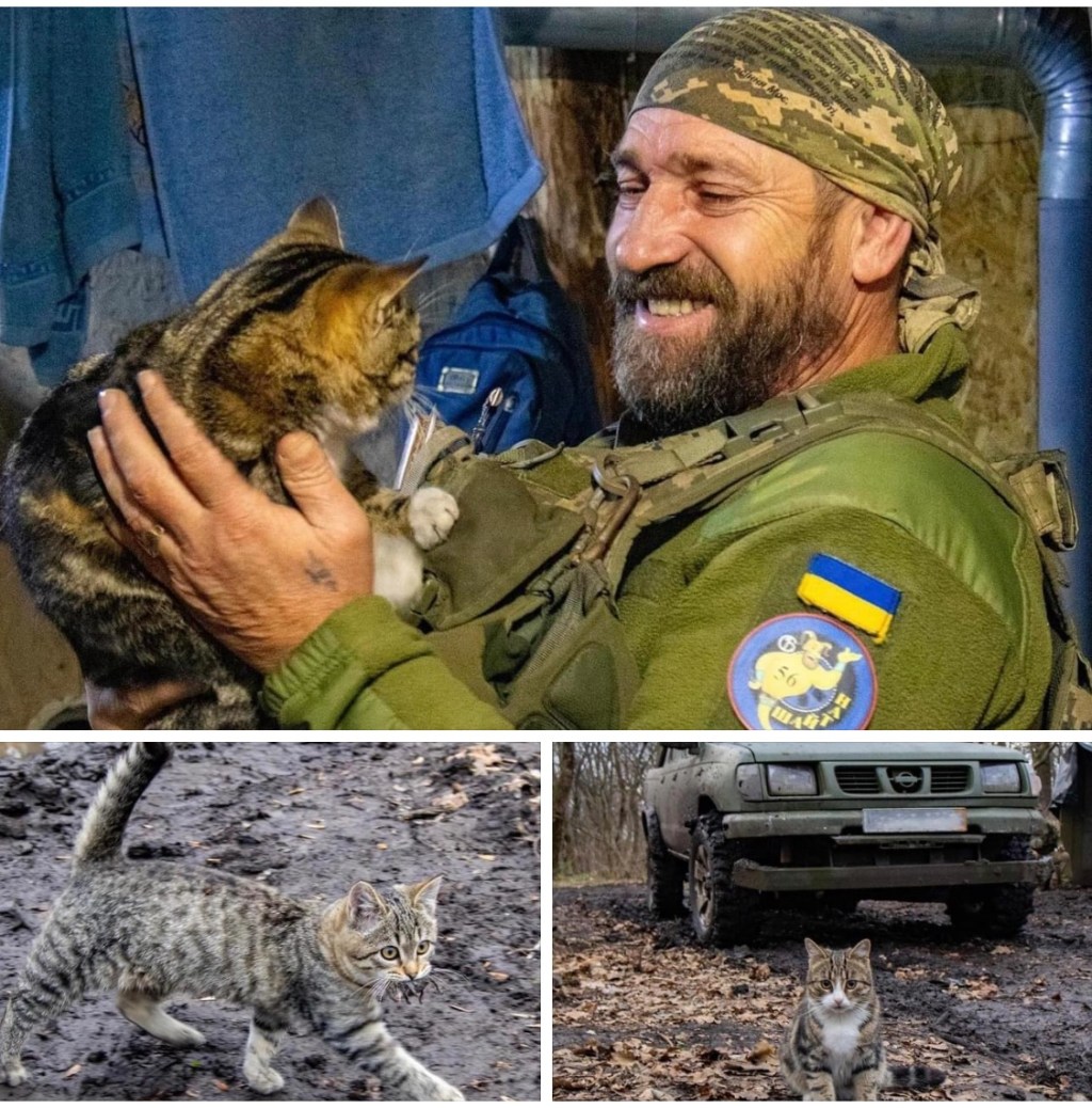 12/7/2023 – Cats Critical on the Front&nbsp;Line