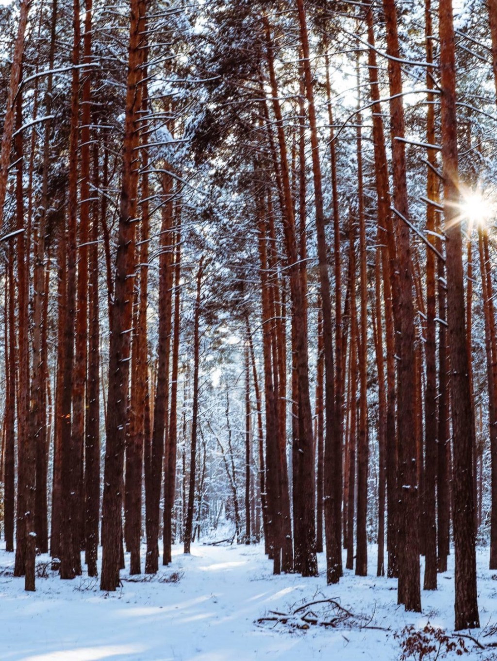 1/17/2024 – Winter at the&nbsp;Front