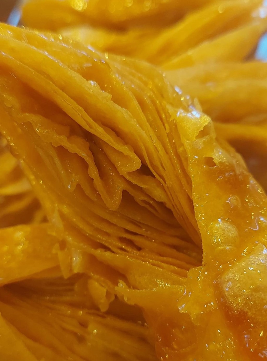 1/29/2024 – We hold on to our memories and God’s faithfulness, and that’s where our hope is&nbsp;found.