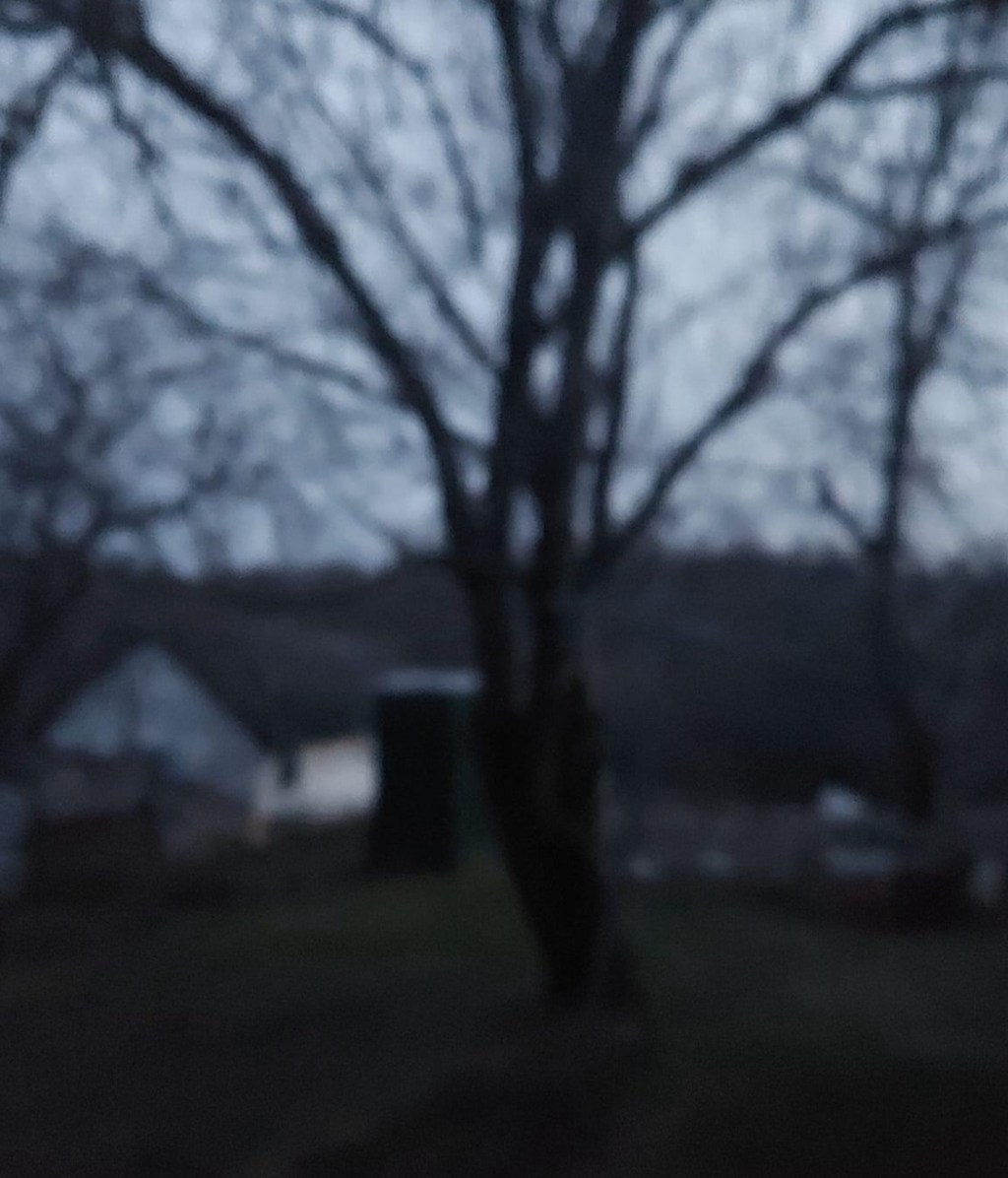 2/20/2024 – I wonder how many times we need to sow in tears until we’ll be able to reap with shouts of&nbsp;joy…