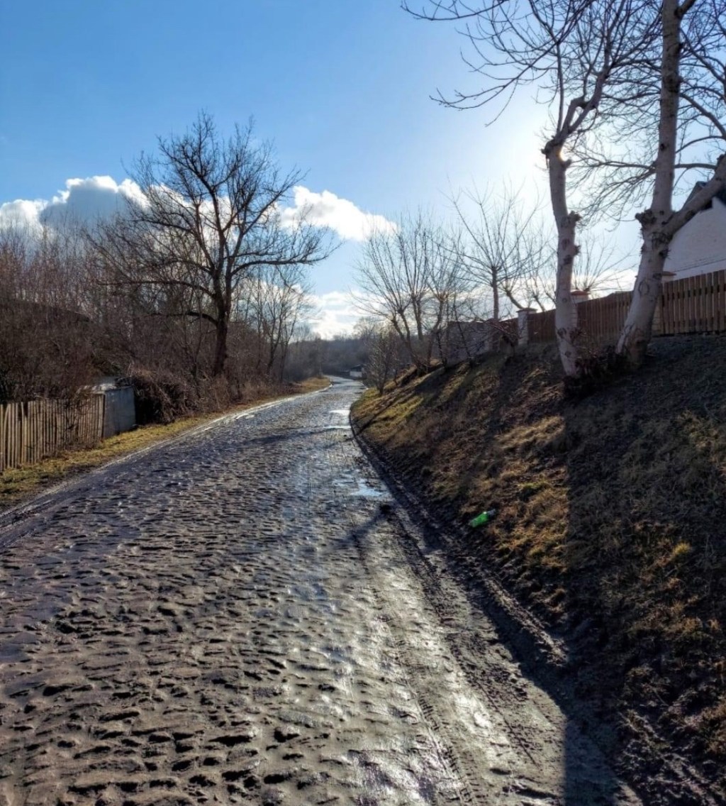 2/24/2024 – It feels like God is sending us extra encouragement, telling us to keep hoping, and my spirit is&nbsp;willing…