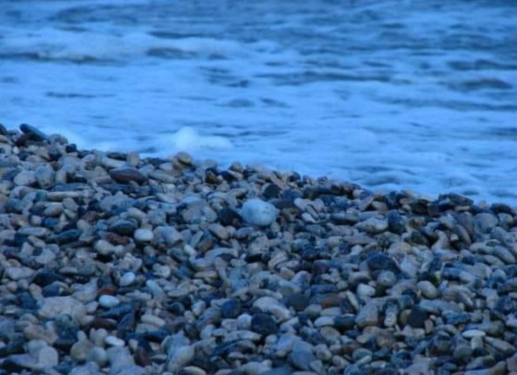 3/6/2024 – We praise you, Lord, for your mighty hand shows that You are above the&nbsp;circumstances…