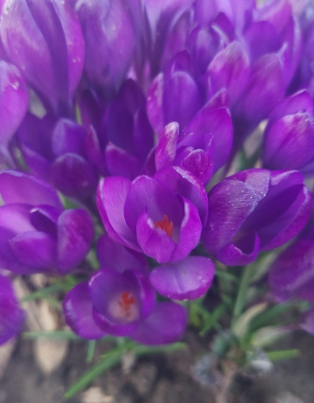 3/29/2924 – The Lord looks down from heaven on the children of man,to see if there are any who understand,who seek after&nbsp;God.